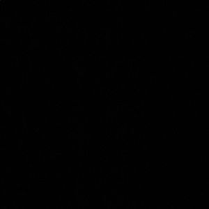 Meet your Posher, Sofia